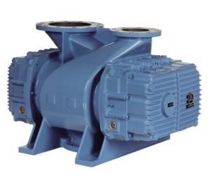 Positive Displacement Blower - Exhausters PreInlet-Image