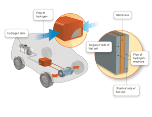 Electro-Catalyst Materials in Fuel Cell Membranes-Image