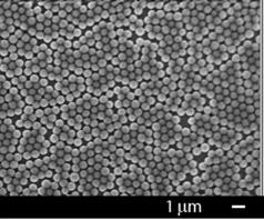 APol 80, Colloidal Silica-Image