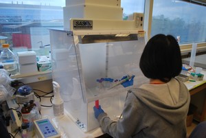Portable Clean Room Hoods & Laminar Flow Hoods-Image