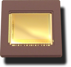 Low-Light Digital CMOS Sensor-Image