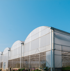 Cooling diffused greenhouse films improve crops-Image