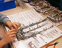Light Duty -Wire Harnesses-Image