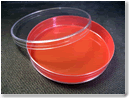 Teflon® Petri Dish Liners -Image