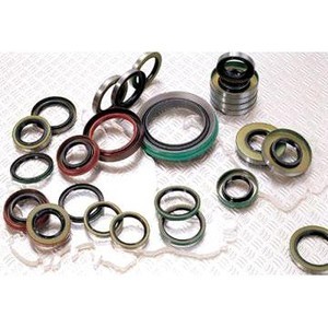Metric Oil Seals-Image