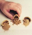 Fillers and Extenders-Image