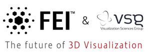 FEI acquires VSG-Image