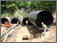 Snap-Tite® Offers Large Diameter Pipe