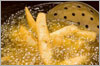 From the Fryer to Fuel
