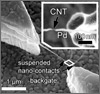 Hysteresis-free Nanotube Transistors