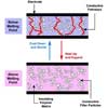 A new polymeric positive