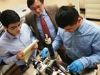 New Memory Device Can Take the Heat