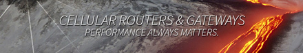 Cellular Routers and Gateways