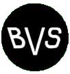 BVS, Inc. Logo