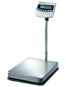 BW Series Bench Scale