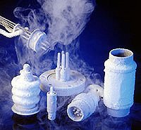 CeramTec, Ceramaseal Division, Cold Environments