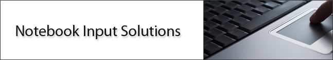 Cirque Corporation