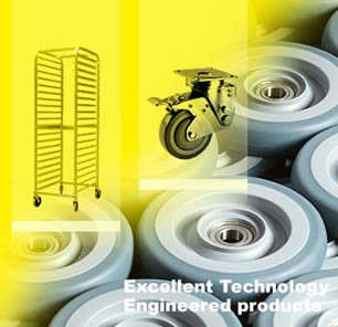 Dersheng USA, Inc.