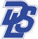 Digital Lighting Systems, Inc.