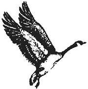 Fliteway Technologies, Inc. Logo