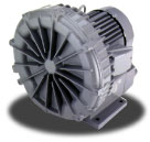 Fuji Electric RC Blowers and Pumps