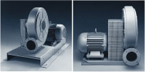 Fuji Electric RC Blowers and Pumps