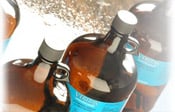 GFS Chemicals, Inc.