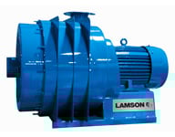 Hoffman-Lamson