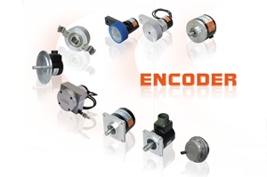 Hontko Co., Ltd.