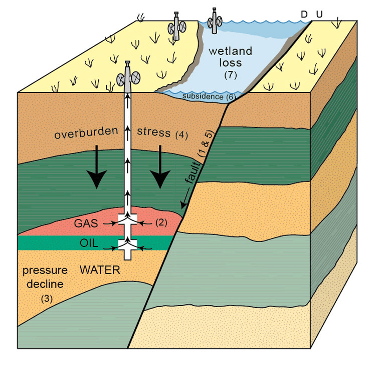 Geotechnical Cross Section