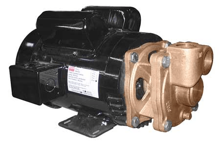 Turbine Pump from Grainger