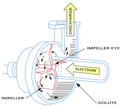 Typical diesel rotary pump  Download Scientific Diagram