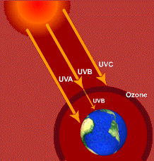 Solid material that 'upconverts' visible light photons to UV light photons  could change how we utilize sunlight, Tokyo Tech News