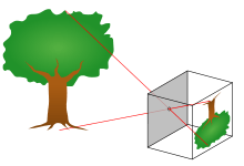 pinhole camera board lens example
