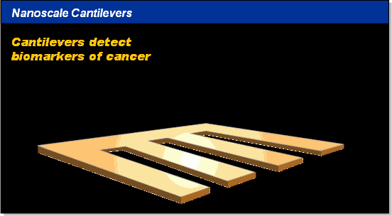 Nanocatilevers