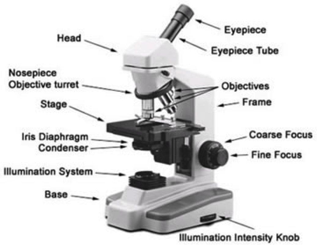 Biological Microscopes Selection Guide: Types, Features, Applications