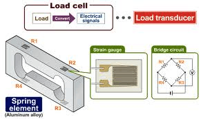 An Overview on Different Types of Weighing Scales Available Online, by  Mogli Labs