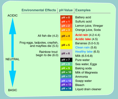 pH water quality diagram via epa.gov