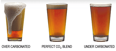 CO2 in Beer image