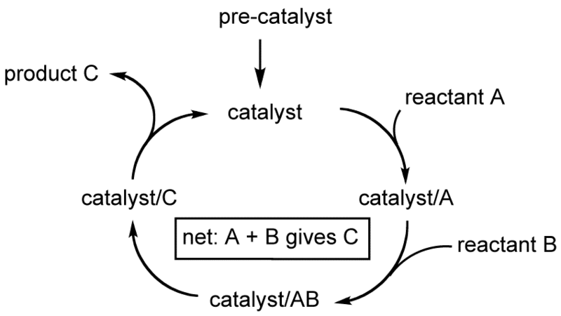 catalysts and initiators selection guide