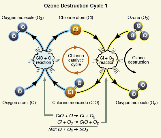 catalysts and initiators selection guide