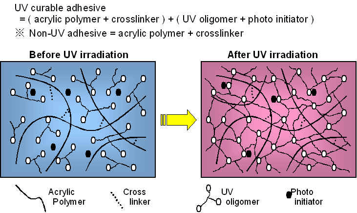 Colle UV à solidifier par ultraviolets, adhésive claire