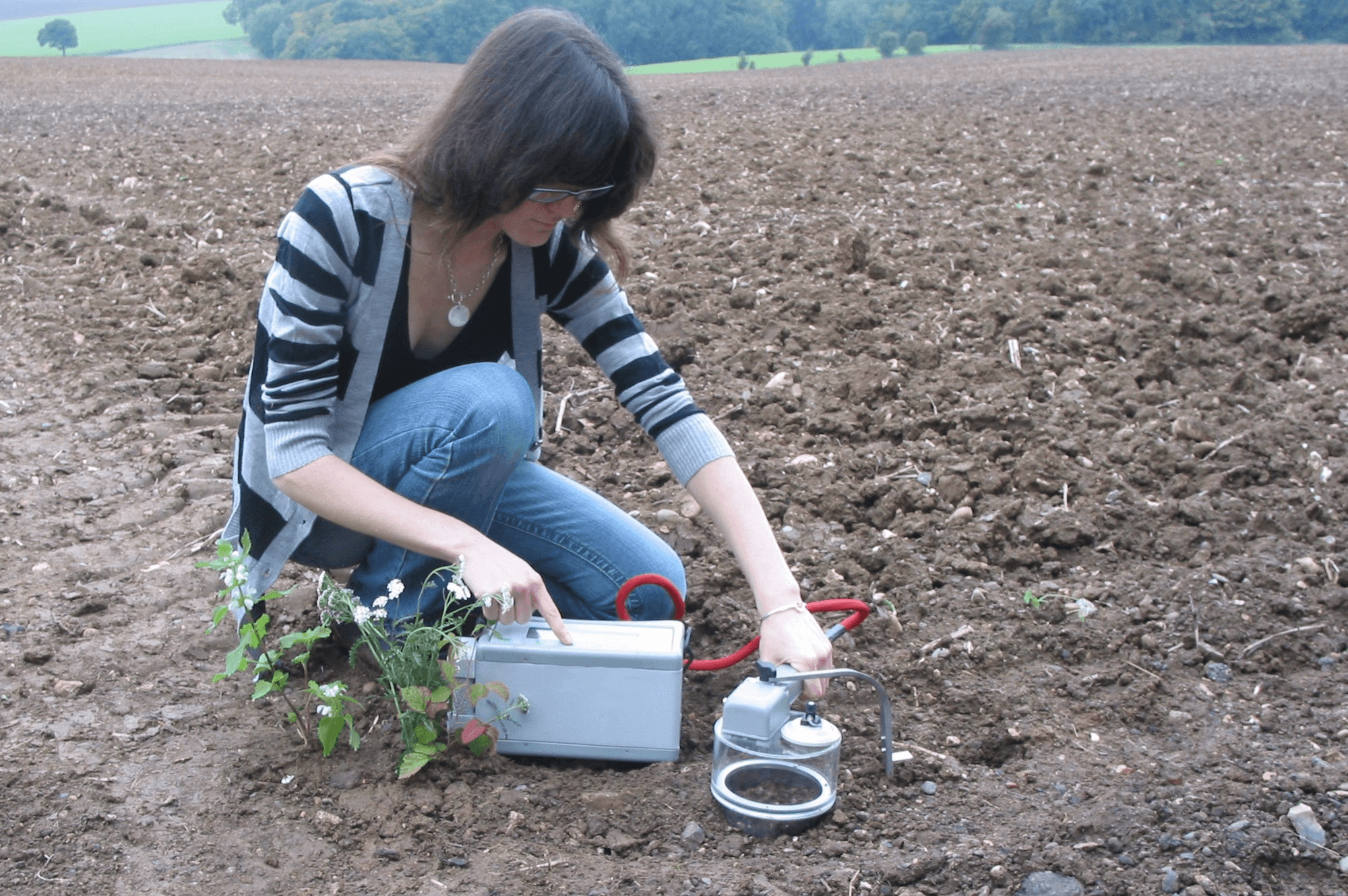 Selecting soil analysis services