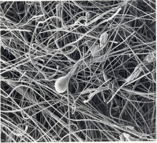 mineral wool glass wool selection guide