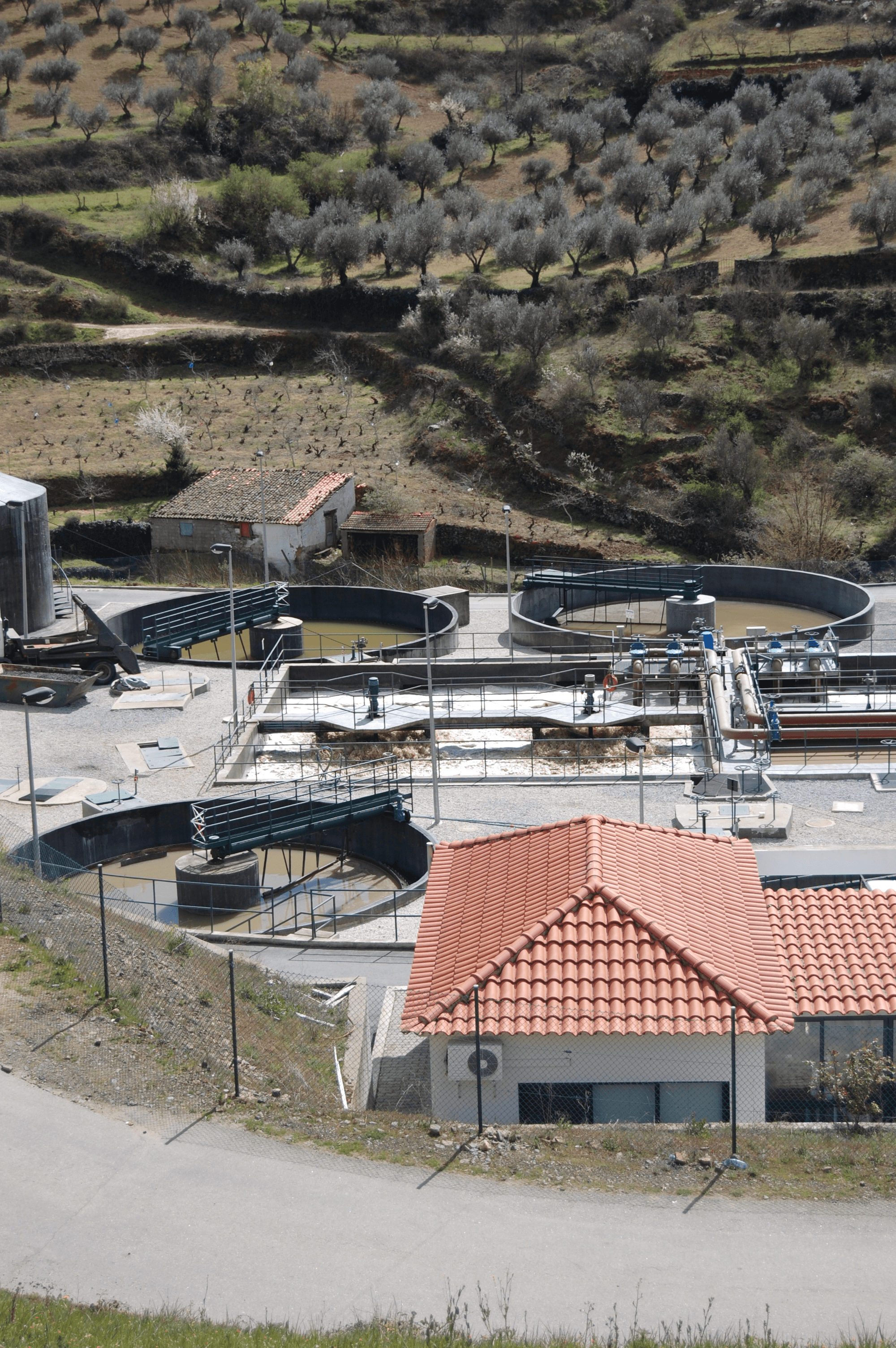Suspended growth treatment systems