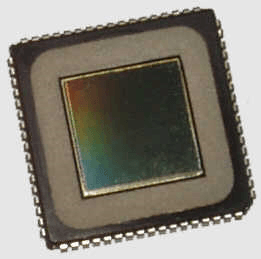 Biometric sensor chip