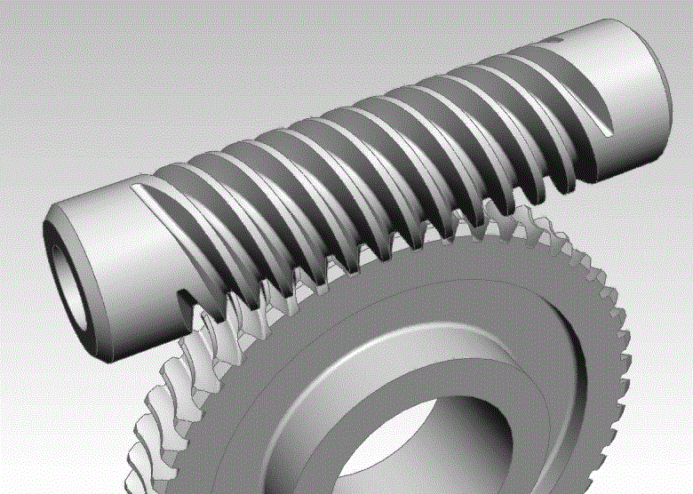 Worm gear