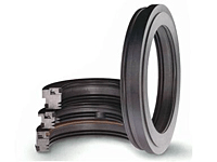 Bearing isolator