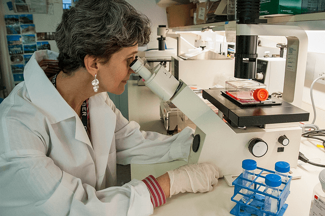 Biological Materials Selection Guide: Types, Features 