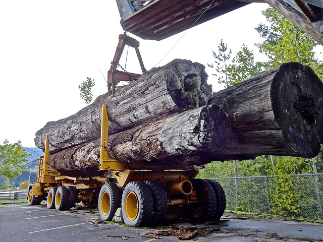 Logging equipment Logging equipment